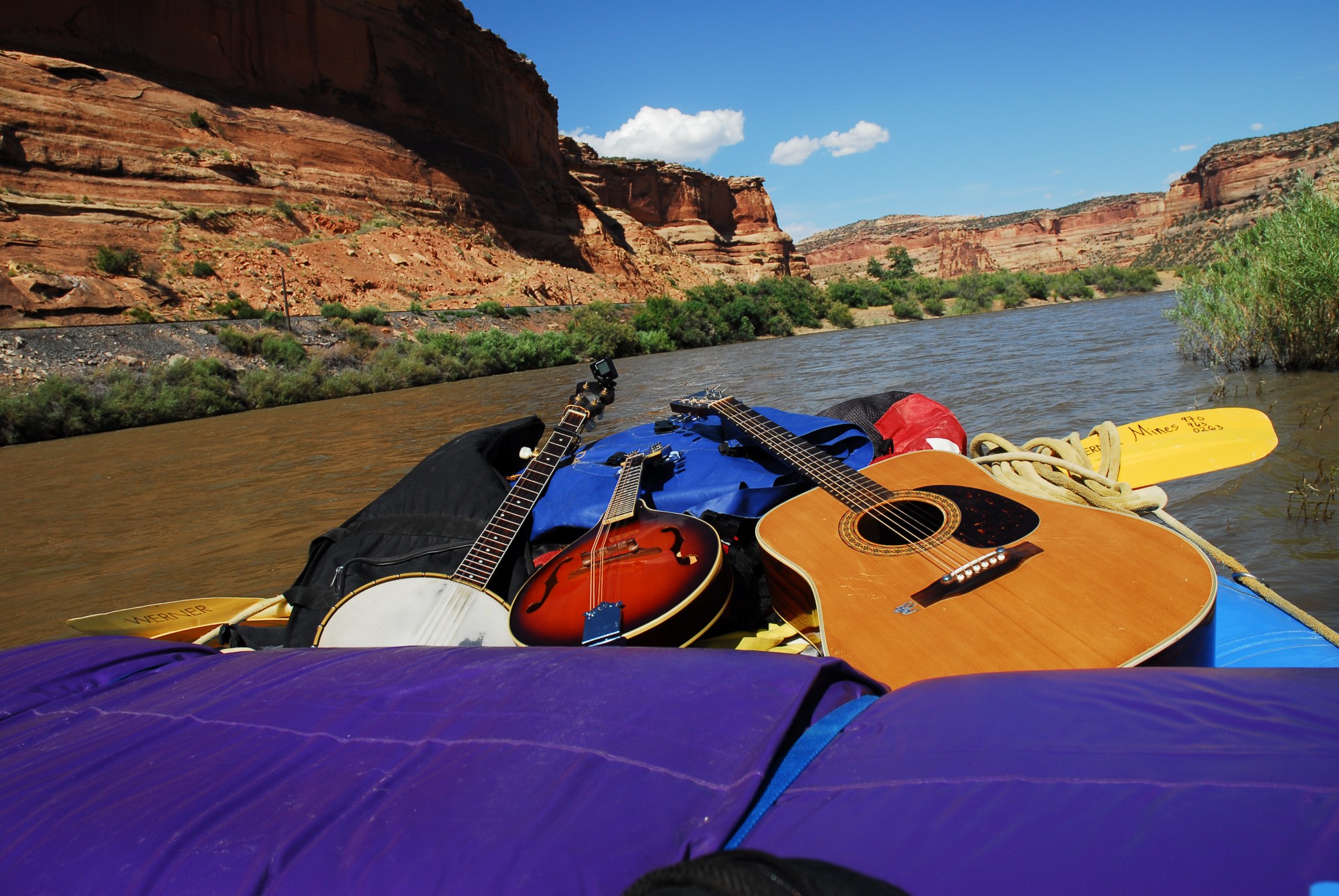 HELL ROARING STRING BAND
