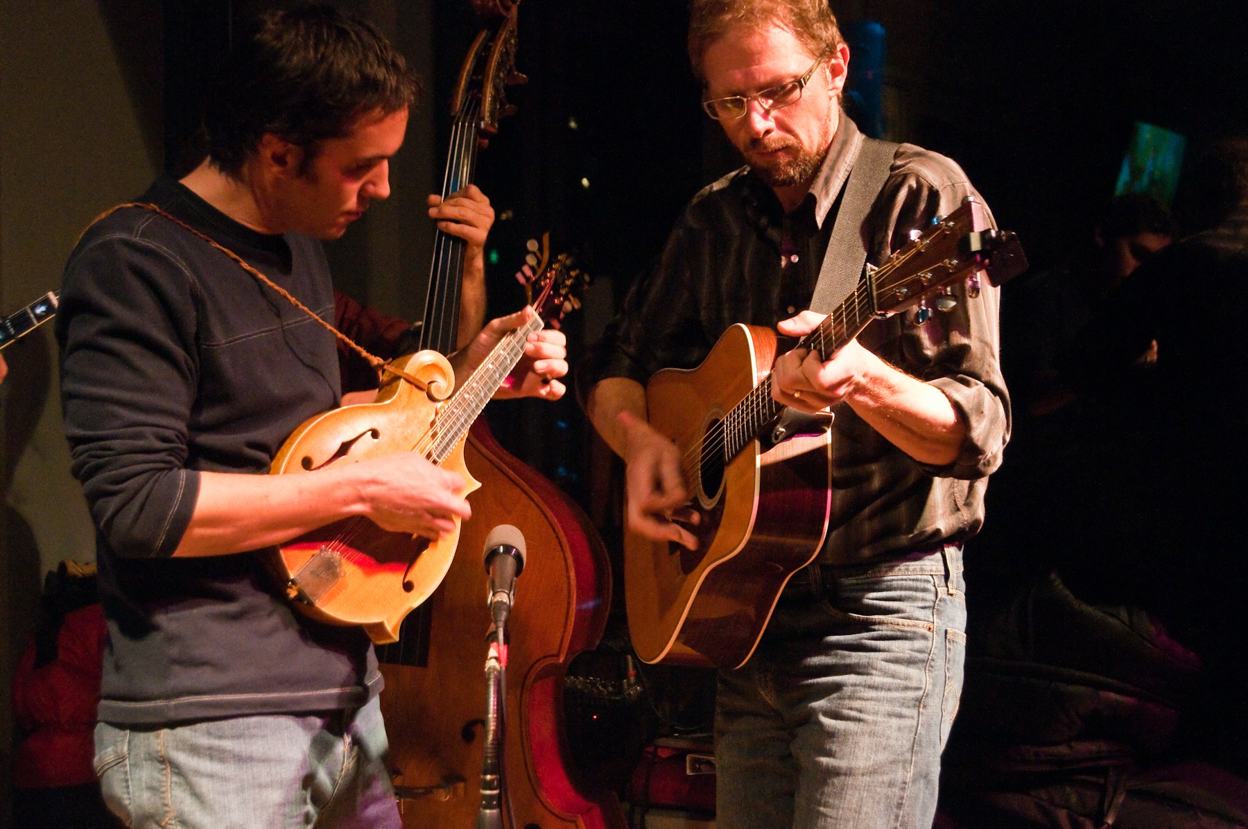 HELL ROARING STRING BAND